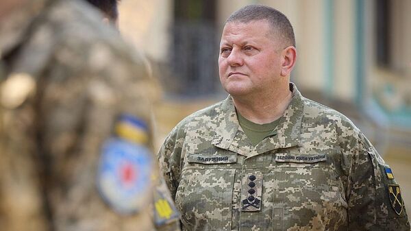Главнокомандующий Вооруженных Сил Украины Валерий Залужный - اسپوتنیک ایران  