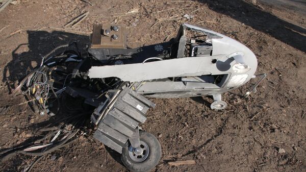 Один из сбитых в Киевской области беспилотников Байрактар ТБ-2 - اسپوتنیک ایران  
