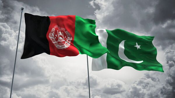 نقش پارلمان پاکستان در روند صلح افغانستان - اسپوتنیک ایران  