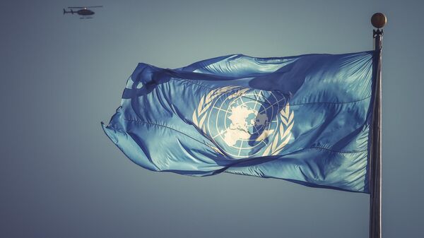Флаг Организации Объединенных Наций - اسپوتنیک ایران  