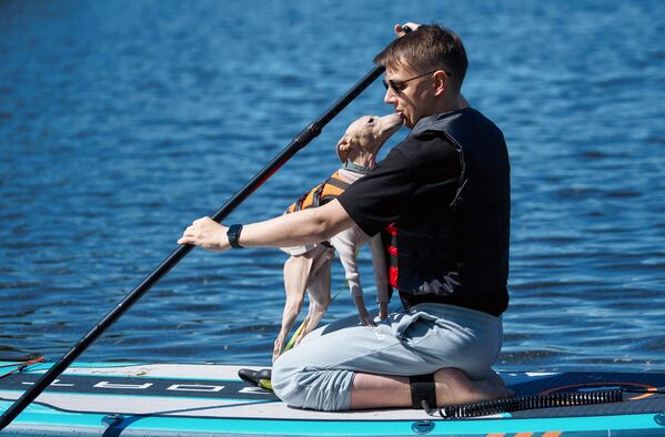 مرد جوان روی یک قایق sup با سگ خود در مسابقه سالانه &quot;Petshop sup&quot; در دریاچه جنوبی جزیره کرستوفسکی در سن پترزبورگ  - اسپوتنیک ایران  