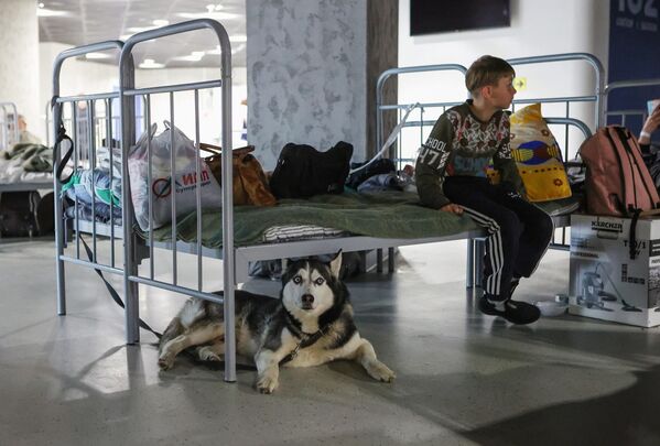 مرکز اسکان موقت ساکنان شیبیکینو در استادیوم "بلگورود آرنا"  - اسپوتنیک ایران  