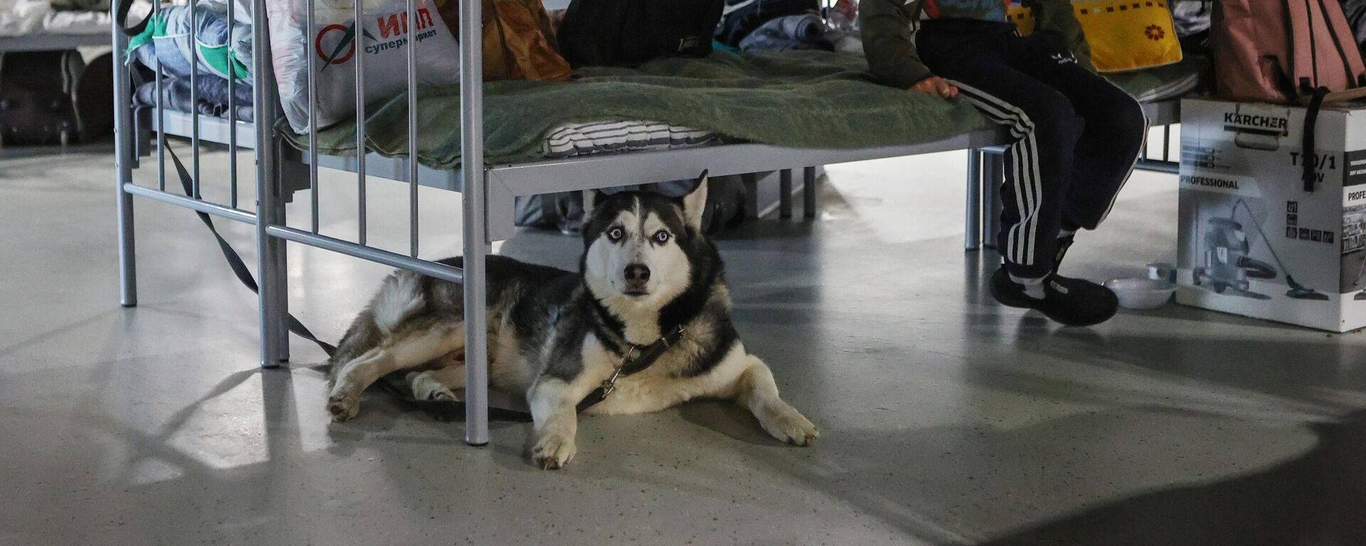 Пункт временного размещения в Белгороде - اسپوتنیک ایران  , 1920, 02.06.2023