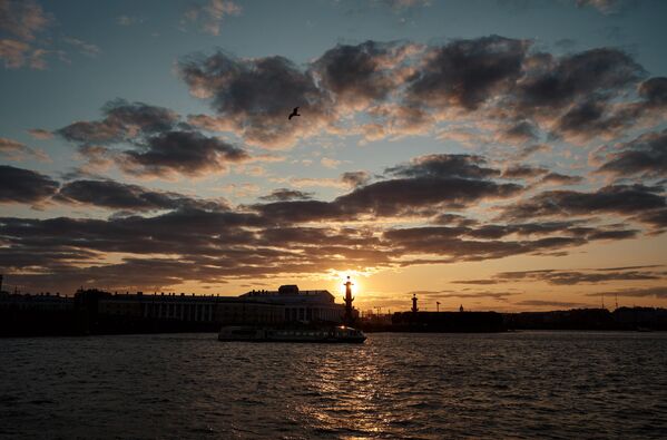 منظره خیابان ساحلی دوارتسووایا در شب های سفید سن پترزبورگ. - اسپوتنیک ایران  