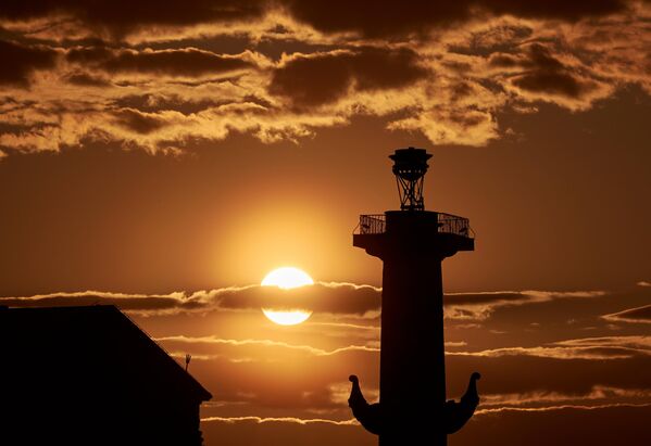 ستون "راسترالنایا کالونا" در شب های سفید در سن پترزبورگ. - اسپوتنیک ایران  