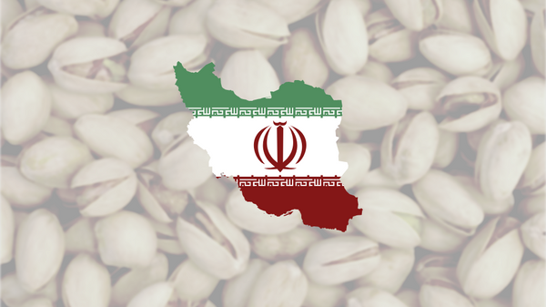 میزان تولید و صادرات پسته ایرانی - اسپوتنیک ایران  