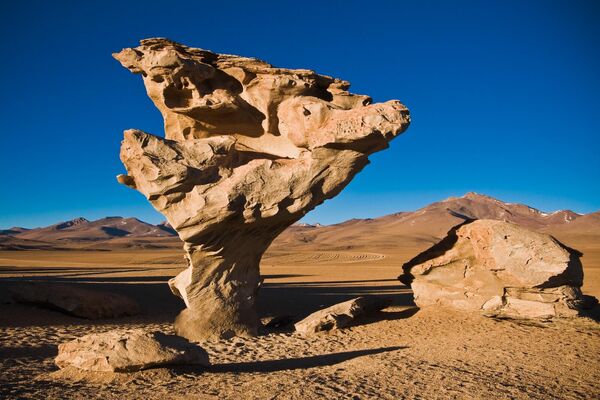 درخت سنگی Arbol de Piedra در صحرای آتاکاما بولیوی در همسایگی شیلی - اسپوتنیک ایران  