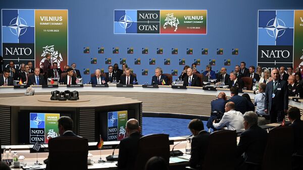 Саммит НАТО в Вильнюсе - اسپوتنیک ایران  