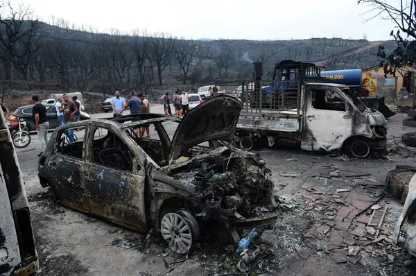 Люди осматривают сгоревшие автомобили после бушующих лесных пожаров в Буире, Алжир