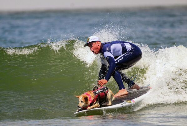 اسکایلار و مالک هومر هنارد هنگام رقابت در رده پشت سر هم در مسابقات قهرمانی موج سواری جهانی سگ در پاسیفیکا، کالیفرنیا. - اسپوتنیک ایران  