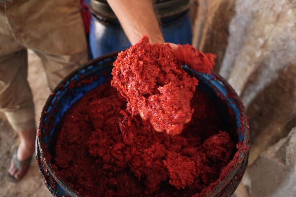 کشاورزی در شهرک المستومه در استان ادلب که تحت کنترل شورشیان است، در 5 اوت 2023، خمیر فلفل قرمز تازه ساخته شده را به نمایش می گذارد، محصولی که ادلب به آن مشهور است. - اسپوتنیک ایران  