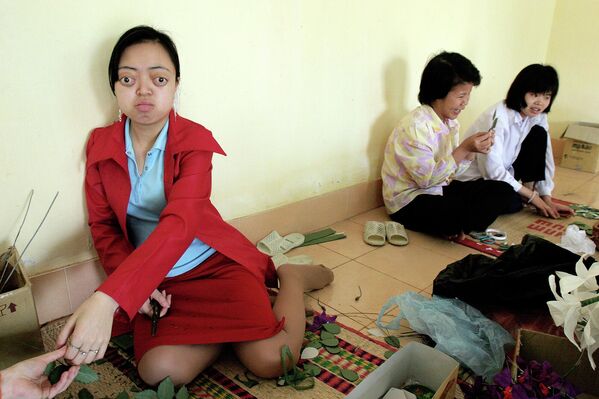 نگوین تی ون لانگ، 19 ساله، از استان نام دین، با همکلاسی هایش در دهکده دوستی ویتنام برای کودکان و جانبازانی که گمان می رود از اثرات عامل نارنجی در حومه هانوی، ویتنام، رنج می برند، گل های کاغذی درست می کند. - اسپوتنیک ایران  