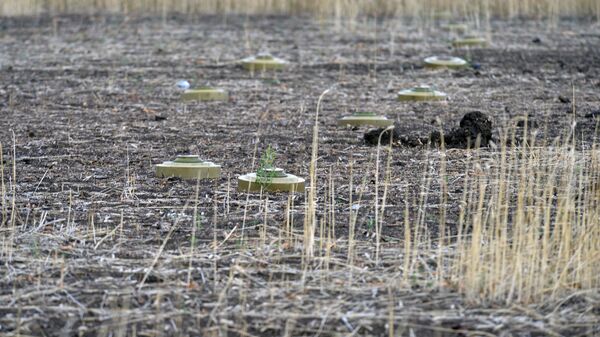 Противотанковые мины ТМ-62М на поле рядом с Бахмутом в Донецкой области - اسپوتنیک ایران  