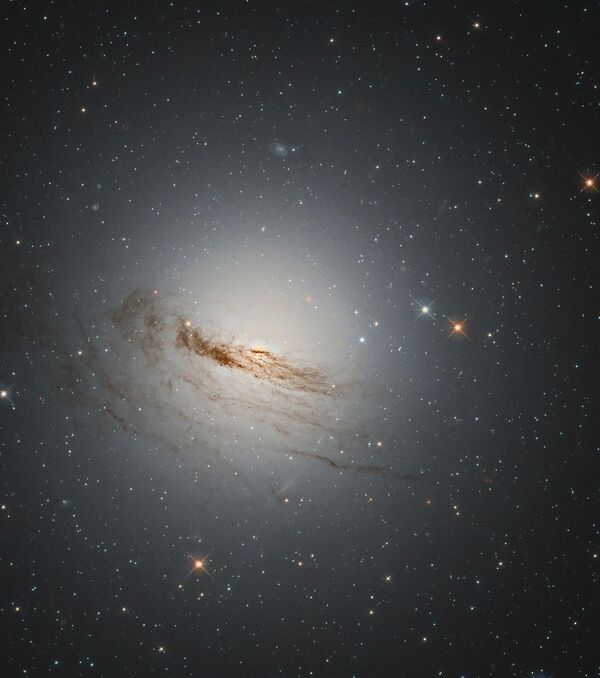 این کهکشان عدسی شکل غیرمعمول، که بین شکل مارپیچی و بیضی قرار دارد، تقریباً تمام گاز و غبار بازوهای مارپیچی مشخص خود را که قبلاً به دور مرکزش می چرخیدند، از دست داده است. این کهکشان که با نام NGC 1947 شناخته می شود، تقریباً 200 سال پیش توسط جیمز دانلوپ، ستاره شناس اسکاتلندی تبار که بعدها آسمان را از استرالیا مطالعه کرد، کشف شد. NGC 1947 فقط از نیمکره جنوبی، قابل مشاهده است. این کهکشان که در فاصله 40 میلیون سال نوری از زمین قرار دارد، ساختار خود را با نور پس زمینه دیسک گاز و غبار ضعیف باقیمانده با میلیون ها ستاره نشان می دهد. در این تصویر که با تلسکوپ فضایی هابل گرفته شده است، بقایای کم رنگ بازوهای مارپیچی کهکشان هنوز در رشته های نازک کشیده شده گاز تیره ای که آن را احاطه کرده اند قابل تشخیص است. این کهکشان عدسی شکل غیرمعمول، که بین شکل مارپیچی و بیضی قرار دارد، تقریباً تمام گاز و غبار بازوهای مارپیچی مشخص خود را که قبلاً به دور مرکزش می چرخیدند، از دست داده است. این کهکشان که با نام NGC 1947 شناخته می شود، تقریباً 200 سال پیش توسط جیمز دانلوپ، ستاره شناس اسکاتلندی تبار که بعدها آسمان را از استرالیا مطالعه کرد، کشف شد. NGC 1947 فقط از نیمکره جنوبی، قابل مشاهده است. این کهکشان که در فاصله 40 میلیون سال نوری از زمین قرار دارد، ساختار خود را با نور پس زمینه دیسک گاز و غبار ضعیف باقیمانده با میلیون ها ستاره نشان می دهد. در این تصویر که با تلسکوپ فضایی هابل گرفته شده است، بقایای کم رنگ بازوهای مارپیچی کهکشان هنوز در رشته های نازک کشیده شده گاز تیره ای که آن را احاطه کرده اند قابل تشخیص است. - اسپوتنیک ایران