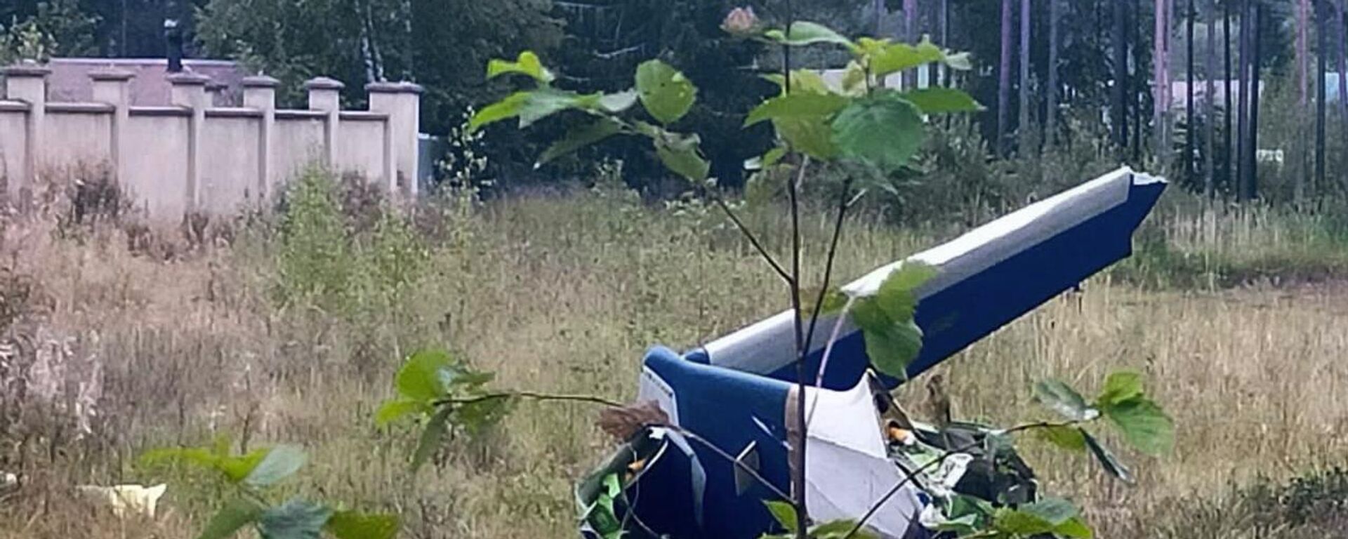 بخشی از قسمت دم هواپیمای سقوط کرده پریگوژین - اسپوتنیک ایران  , 1920, 24.08.2023