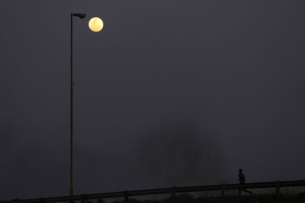 یک ابرماه در آسمان دیده می‌شود که مردی در خیابان می‌دود، در Vosloorus، شرق ژوهانسبورگ، آفریقای جنوبی، چهارشنبه، اوت. 30 اوت 2023. 30 اوت دومین ابرماه ماه را می بیند، زمانی که ماه کامل به دلیل موقعیت کمی نزدیکتر به زمین، کمی بزرگتر و درخشان تر به نظر می رسد. (AP Photo/Themba Hadebe) - اسپوتنیک ایران  