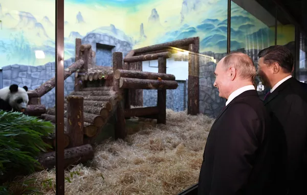 Председатель КНР Си Цзиньпин и президент РФ Владимир Путин у вальера с большими пандами в Московском зоопарке Председатель КНР Си Цзиньпин и президент РФ Владимир Путин у вальера с большими пандами в Московском зоопарке