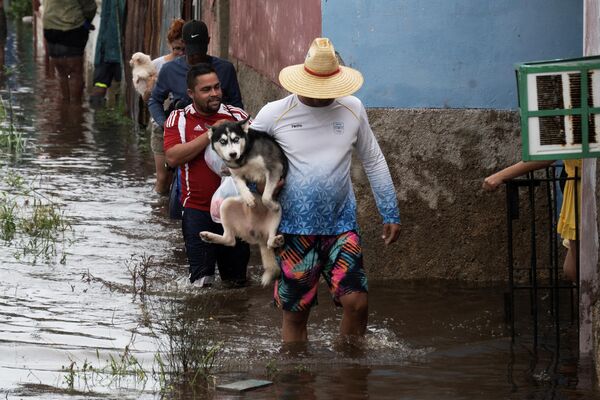 مردی در 29 اوت 2023، هنگام عبور از طوفان گرمسیری آیدالیا، سگی را در حالی که در خیابانی سیل زده در باتابانو، در شهر مایابک، کوبا حمل می‌کند.طوفان استوایی آیدالیا  پیش‌بینی می‌شود که روز چهارشنبه در فلوریدا، ایالات متحده، به شکل &quot;بسیار خطرناک&quot; وارد شود. - اسپوتنیک ایران  