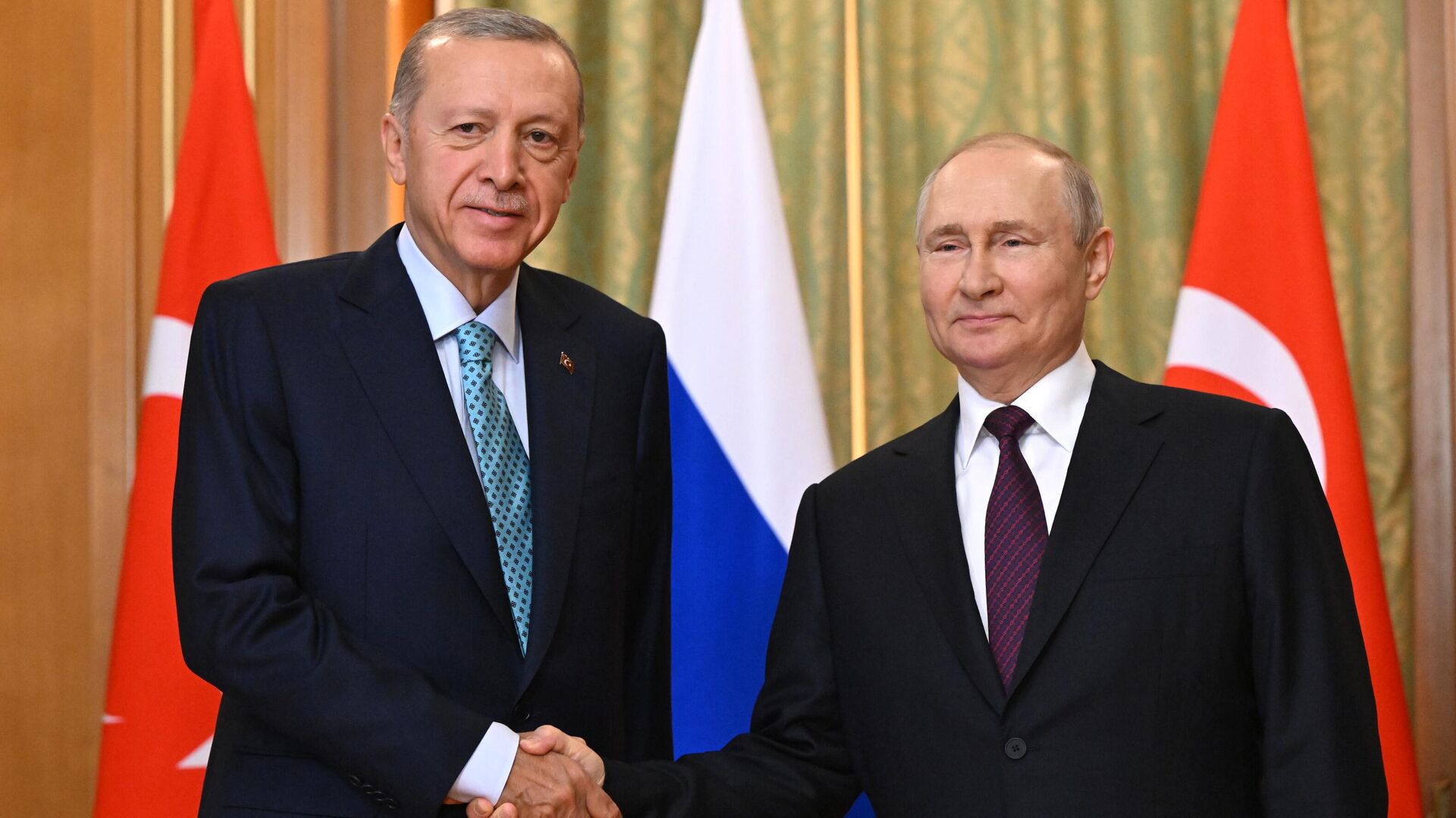 دیدار ولادیمیر پوتین، رئیس‌جمهور روسیه و رجب طیب اردوغان، رئیس‌جمهور ترکیه در سوچی - اسپوتنیک ایران  , 1920, 04.09.2023