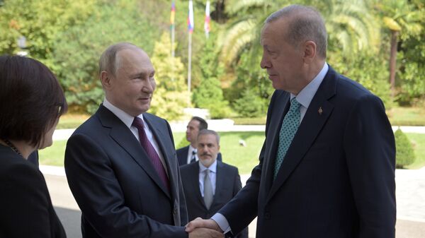 Recep Tayyip Erdoğan ve Vladimir Putin - اسپوتنیک ایران  