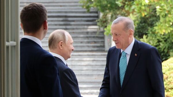 Президент РФ Владимир Путин и президент Турецкой Республики Реджеп Тайип Эрдоган во время встречи - اسپوتنیک ایران  