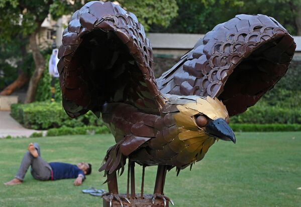 مجسمه عقاب طلایی، پرنده ملی مکزیک در پارکی در دهلی نو در 5 سپتامبر 2023، پیش از اجلاس G20 هند به نمایش گذاشته شد. - اسپوتنیک ایران  