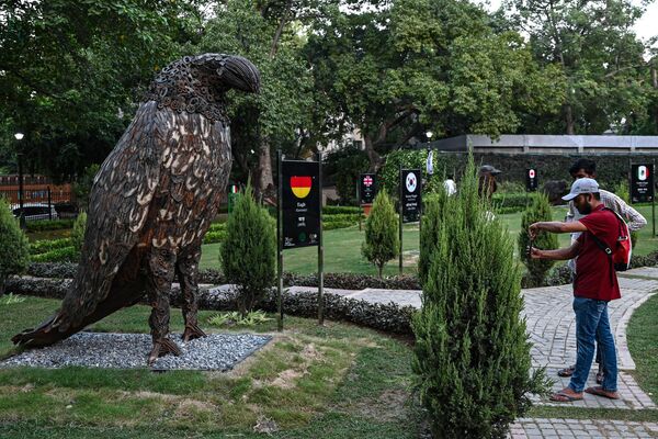 مجسمه عقاب فدرال، پرنده ملی آلمان در پارکی در دهلی نو در 5 سپتامبر 2023، پیش از اجلاس G20 هند به نمایش گذاشته شد. - اسپوتنیک ایران  