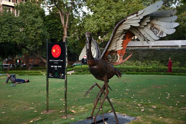 مجسمه درنای کاکل قرمز، پرنده ملی چین در پارکی در دهلی نو در 5 سپتامبر 2023، پیش از اجلاس G20 هند به نمایش گذاشته شد. - اسپوتنیک ایران  