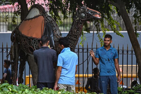 مجسمه  شتر، حیوان ملی عربستان سعودی در پارکی در دهلی نو در 5 سپتامبر 2023، پیش از اجلاس G20 هند به نمایش گذاشته شد.  - اسپوتنیک ایران  