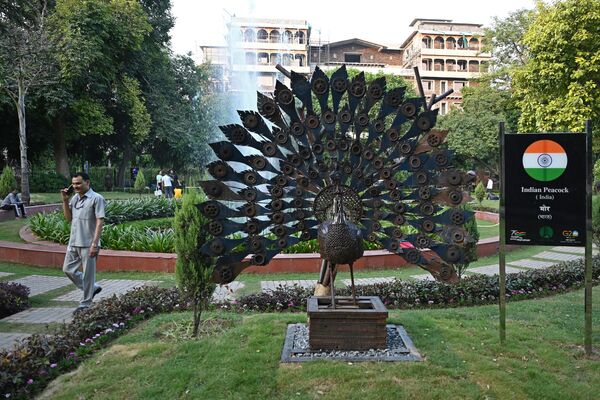 مجسمه  طاووس، پرنده ملی هند در پارکی در دهلی نو در 5 سپتامبر 2023، پیش از اجلاس G20 هند به نمایش گذاشته شد. - اسپوتنیک ایران  