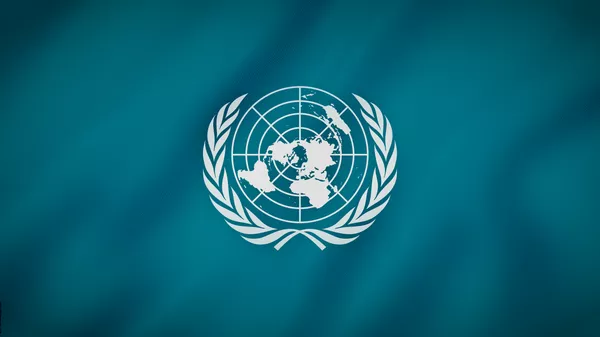 آمریکا می خواهد شورای امنیت سازمان ملل را اصلاح کند - اسپوتنیک ایران  