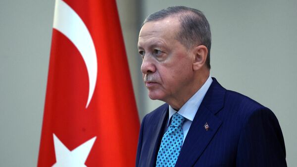 رجب طیب اردوغان،  رئیس جمهور ترکیه  - اسپوتنیک ایران  