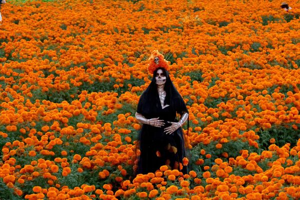 زنی با لباس کاترینا در حین عکس گرفتن در مزرعه گل همیشه بهار برای جشن روز مردگان آماده می شود. ایالت جالیسکو، مکزیک - اسپوتنیک ایران  