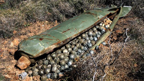 Израильская кассетная бомба, сброшенная на Ливан  - اسپوتنیک ایران  