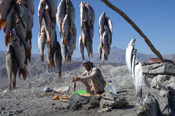 یک افغانستانی در حالی که در امتداد جاده تپه ای در منطقه سروبی استان کابل منتظر مشتریان است، ماهی  ها را دسته بندی می کند. 13 نوامبر 2023 - اسپوتنیک ایران  
