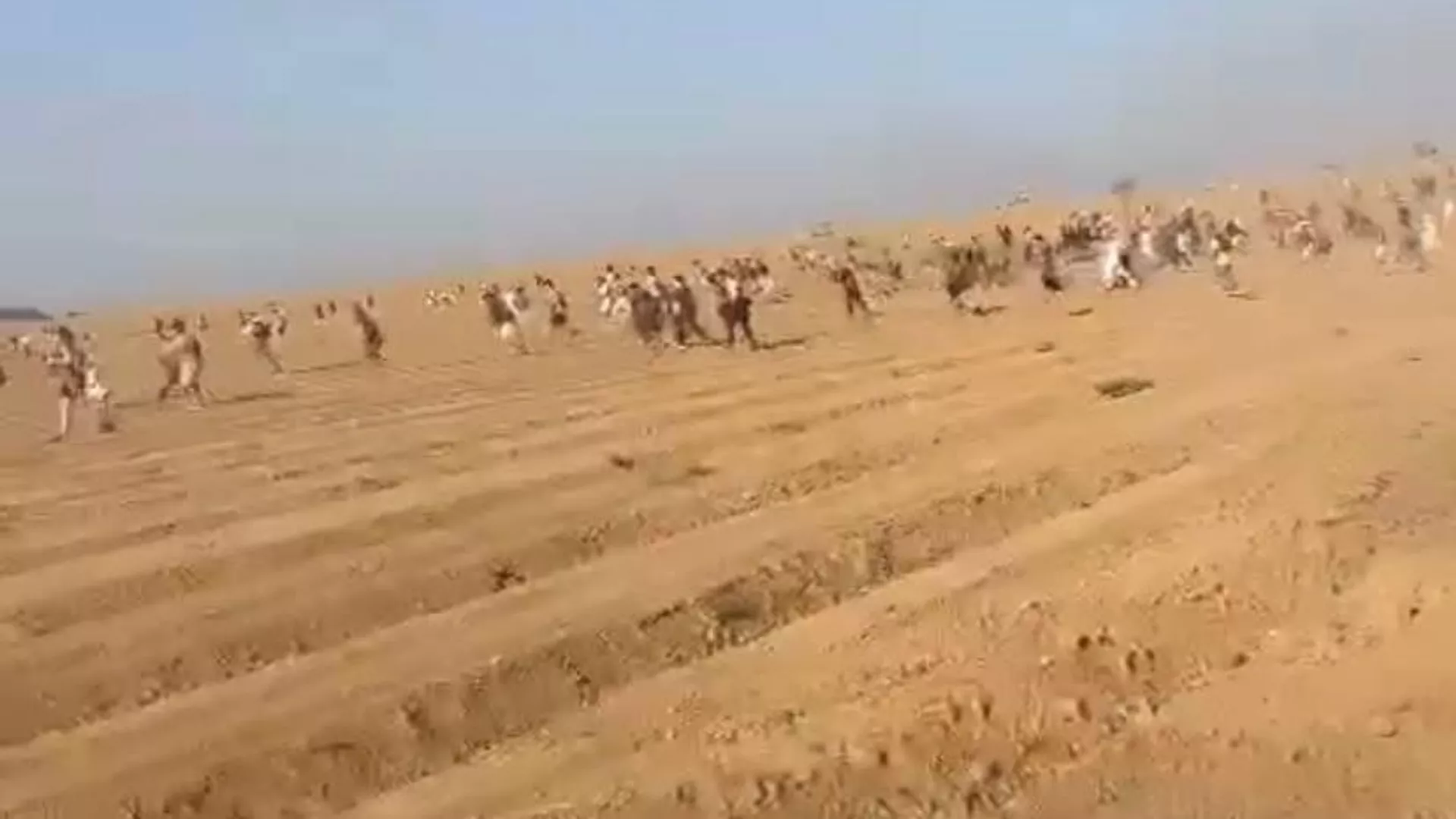 حمله به شرکت کنندگان فستیوال موسیقی در اسرائیل