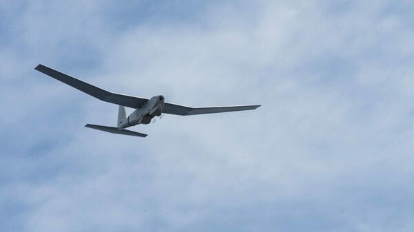 Американский беспилотник самолётного типа RQ-20 Puma - اسپوتنیک ایران  