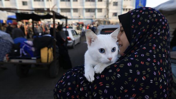 بازگشت فلسطینی ها به خانه های خود در نوار غزه - اسپوتنیک ایران  