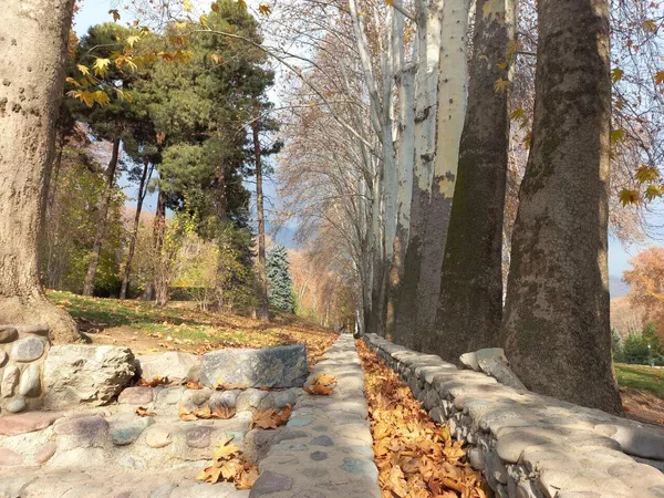 Поздняя осень в Тегеране