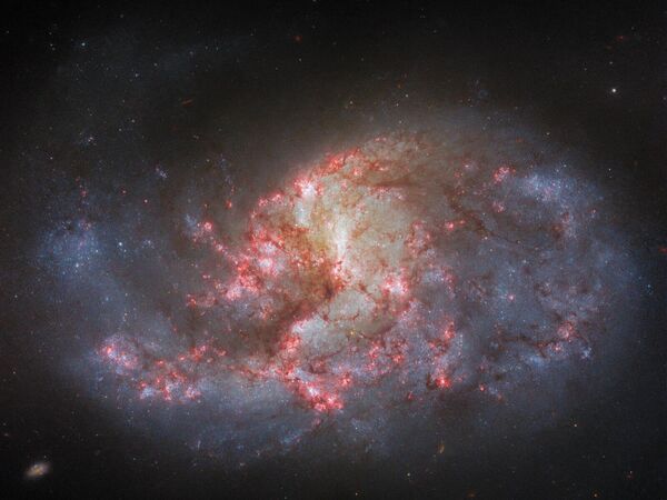 این تصویر درهم پیچیده از ستاره ها و غبار، کهکشان مارپیچی میله ای NGC 1385 است که در فاصله 30 میلیون سال نوری از زمین قرار دارد. - اسپوتنیک ایران  