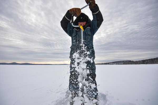 یک ماهیگیر برای ماهیگیری  در دریاچه تاواتوی در استان سوردلوفسک، آب یخ بسته این دریاچه  را سوراخ می کند. - اسپوتنیک ایران  