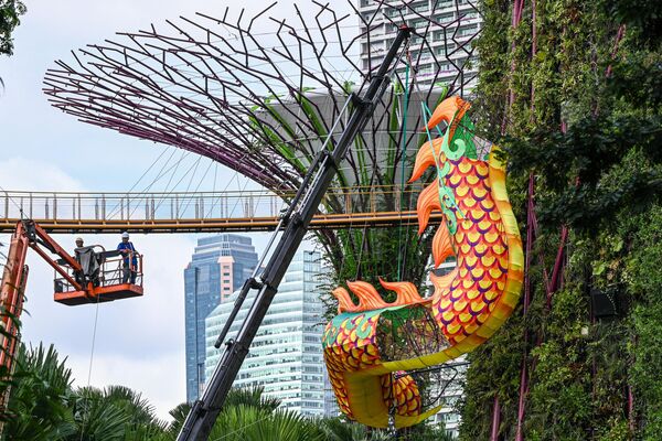 تهیه مقدمات سال نو به تقویم قمری در سنگاپور. آرایش شهر با تزیینات سال نو. - اسپوتنیک ایران  