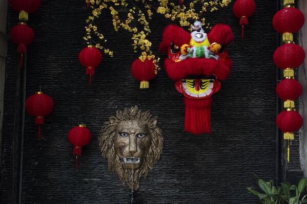 تهیه مقدمات سال نو به تقویم قمری در ویتنام. - اسپوتنیک ایران  