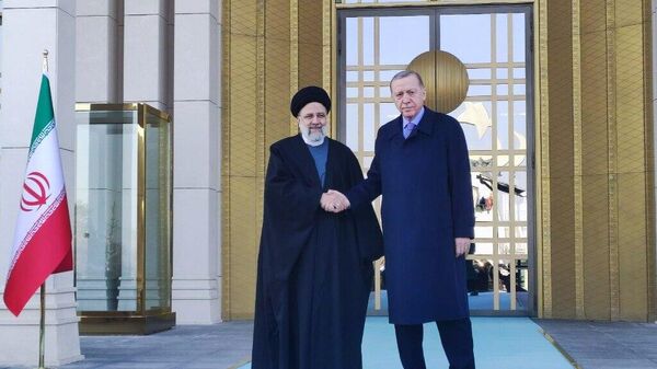 دیدار رجب طیب اردوغان و ابراهیم رئیسی - اسپوتنیک ایران  