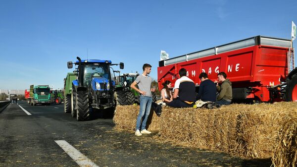 Протесты фермеров во Франции  - اسپوتنیک ایران  
