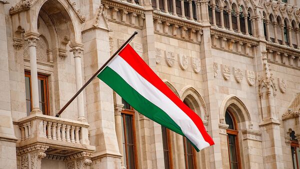 Флаг Венгрии на здании парламента в Будапеште, Венгрия - اسپوتنیک ایران  