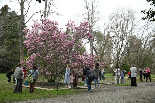 مردم با درخت ماگنولیا  در پارک &quot;یوژنیه کولتوری&quot; در سوچی عکس می گیرند. - اسپوتنیک ایران  
