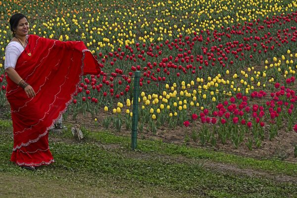 یک بازدیدکننده در 3 آوریل 2024 در مقابل مزرعه گل لاله در باغ لاله یادبود ایندیرا گاندی در سرینگار برای عکس گرفتن ژست می گیرد. - اسپوتنیک ایران  