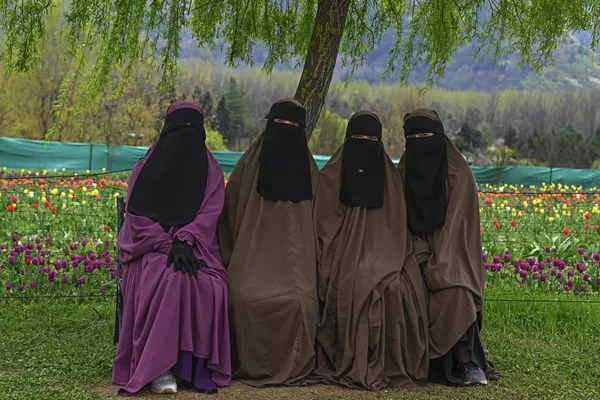 بازدیدکنندگان در 3 آوریل 2024 روی نیمکتی در کنار مزرعه گل لاله در باغ لاله یادبود ایندیرا گاندی در سرینگار نشسته اند. بازدیدکنندگان در 3 آوریل 2024 روی نیمکتی در کنار مزرعه گل لاله در باغ لاله یادبود ایندیرا گاندی در سرینگار نشسته اند. - اسپوتنیک ایران