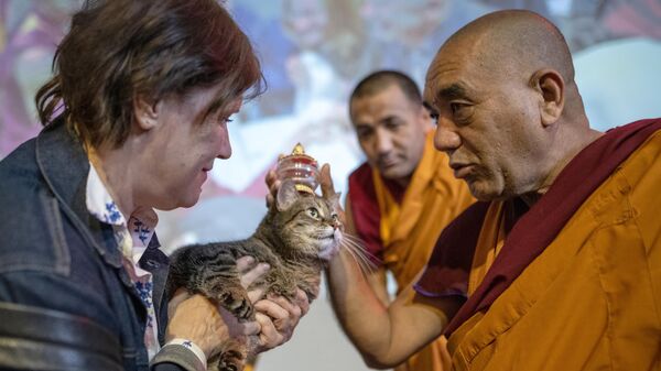 رئیس هیئت راهبان هیمالیا، گشه تسوانگ دورجه، در مراسم برکت حیوانات به عنوان بخشی از جشنواره بودایی خوش شانسی در مسکو، یک گربه رامورد برکت قرار می دهد - اسپوتنیک ایران  